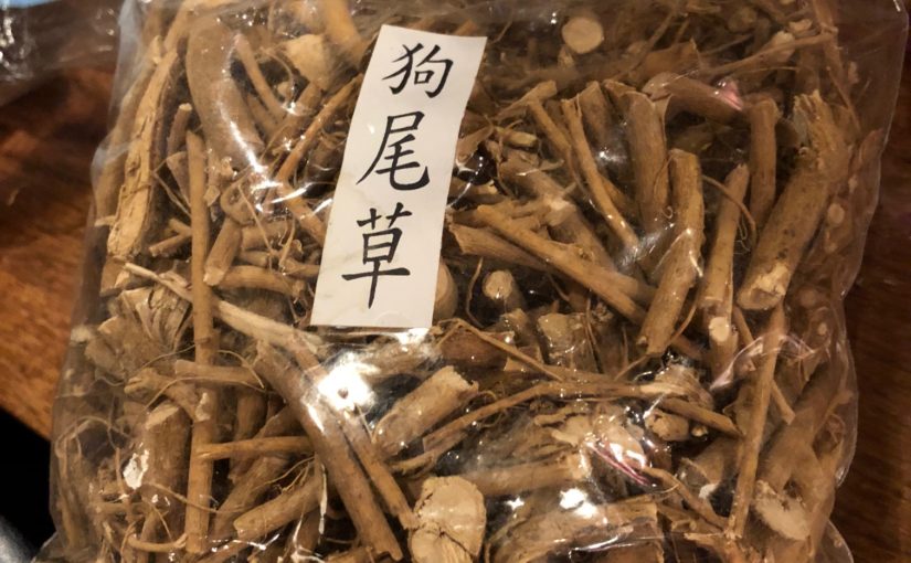 台湾土産の漢方食材「狗尾草」の正体は○○！え？これ食べれるの？